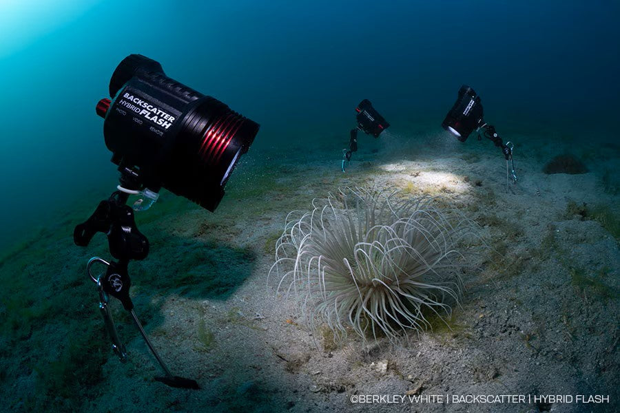 How to: Set up TTL Strobes