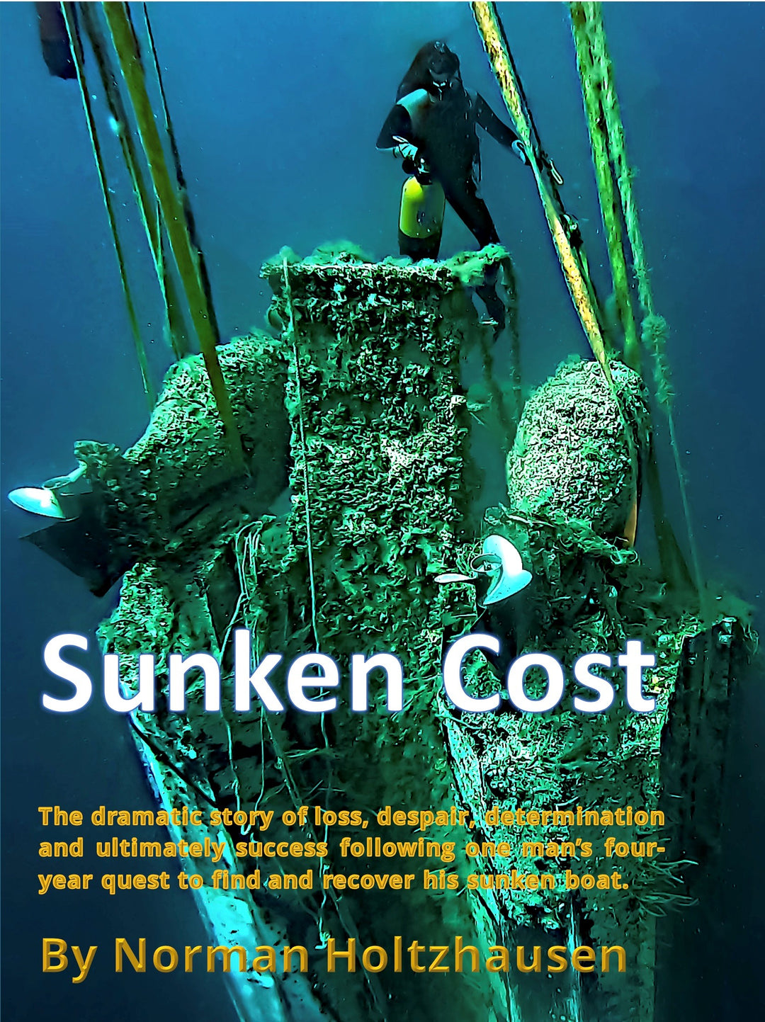 Sunken Cost by Norman Holtzhausen