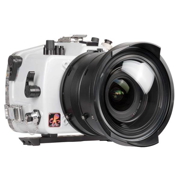 Canon EOS 6D - Ikelite 200DL Housing 71706 - Sea Tech Ltd