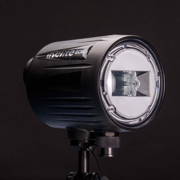 Ikelite Ecko DS Underwater Strobe - 40102