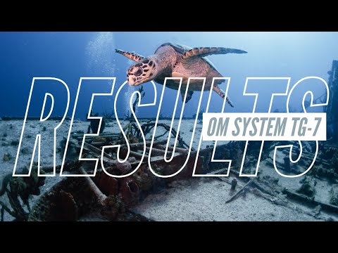 Ikelite Underwater Housing for OM System Tough TG-7, TG-6 and Ecko Strobes Wide Angle Kit - 62343E