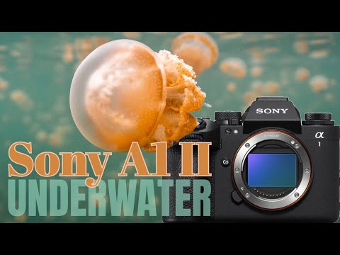 Sony Alpha a1 II, a9 III - Ikelite 200DL Housing - 71483