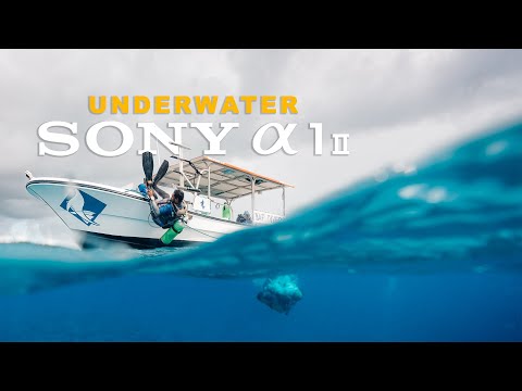 Sony Alpha a1 II, a9 III - Ikelite 200DL Housing - 71483