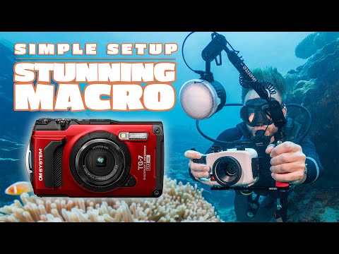 Ikelite Underwater Housing for OM System Tough TG-7, Olympus TG-6 Camera and Ecko Strobe Deluxe Kit - 62342E