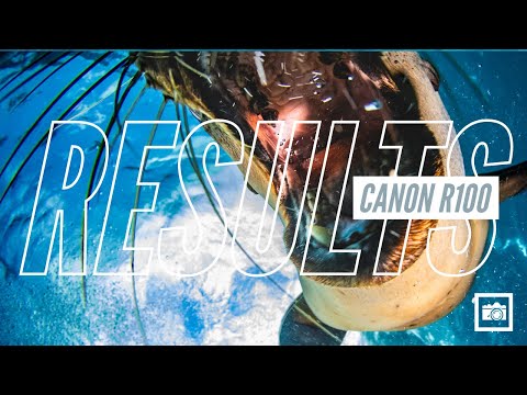 Canon EOS R100 - Ikelite 200DLM/D Housing [Fiber Optic Update] - 69750-FBR