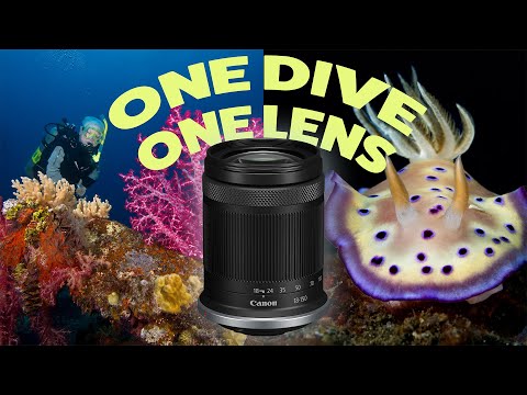 Canon EOS R100 - Ikelite 200DLM/D Housing [Fiber Optic Update] - 69750-FBR