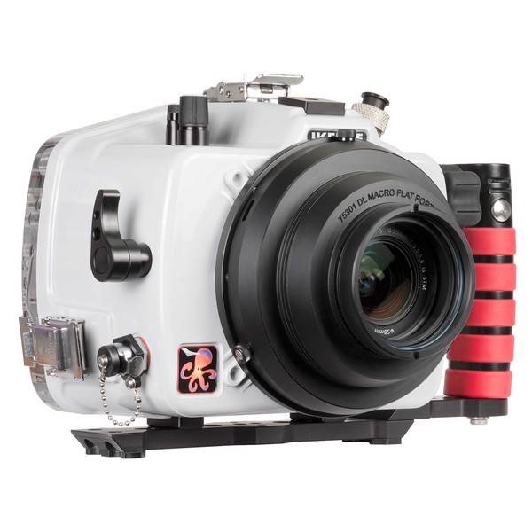 Canon EOS 800D Rebel T7i, Kiss X9i - Ikelite 200DL Housing 71724 - Sea Tech Ltd