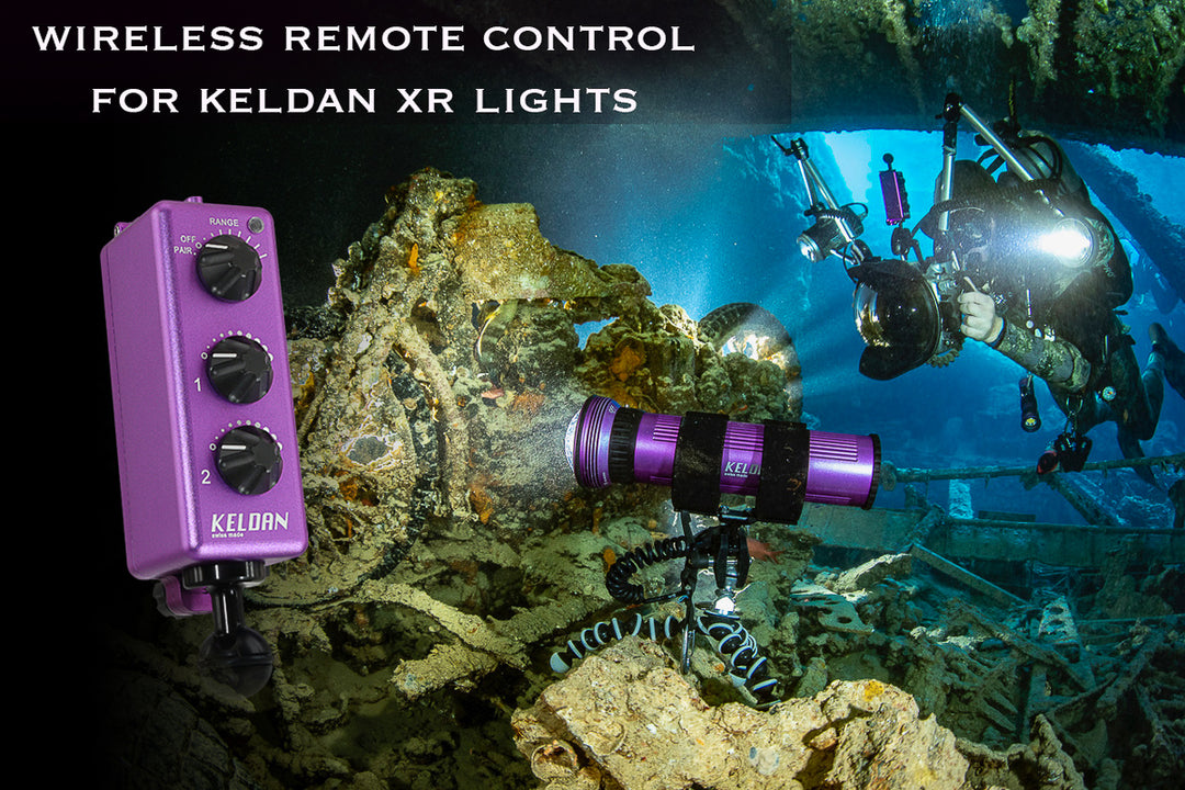 Keldan RC1 Remote Control - 1346
