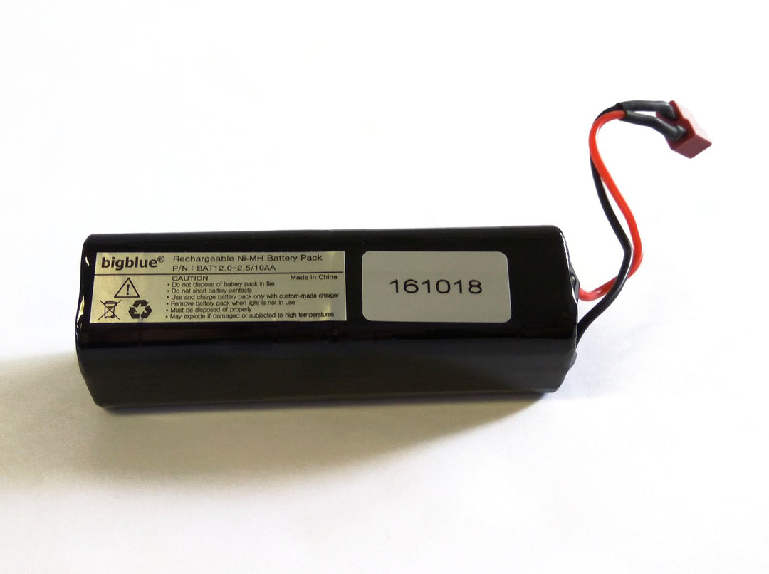 Bigblue BAT12.0-2.5/10AA 12.0V Battery Pack - 161018