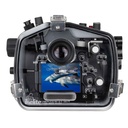 71768-ikelite-underwater--housing-canon-r6-i-ii-b.jpg