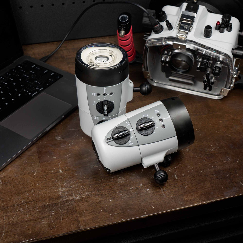 40165-ikelite-ds165-ttl-underwater-strobe-b.jpg
