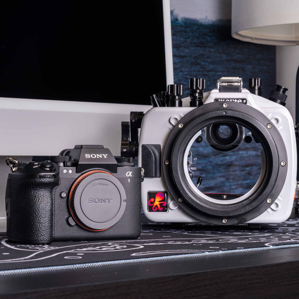 ikelite-71483-underwater-housing-sony-a1-ii-lifestyle-b.jpg