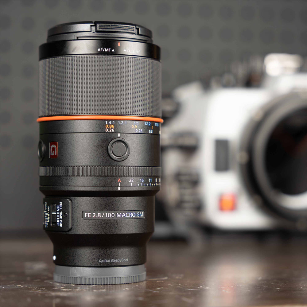 Ikelite Focus Ring Lock Sony FE100mm
