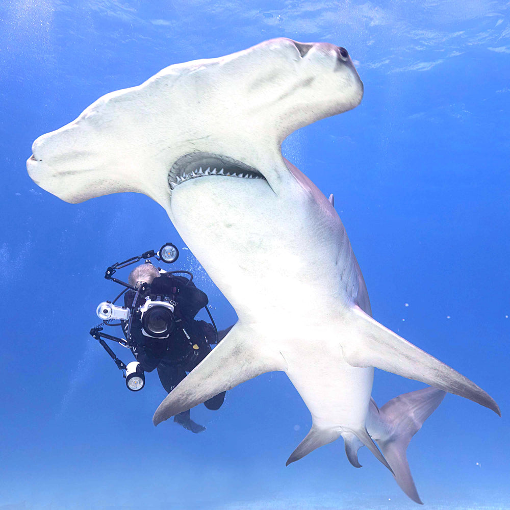 Ikelite RC232 TTL Underwater Strobe with Video Light [Fiber Optic] - 40123AU