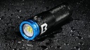 BigBlue Black Molly VIIB