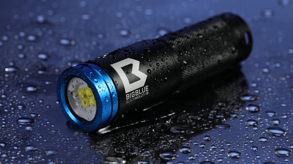 BigBlue Black Molly VIIB