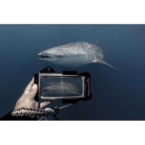 SeaTouch 4 Max Plus
Underwater Smartphone Housing