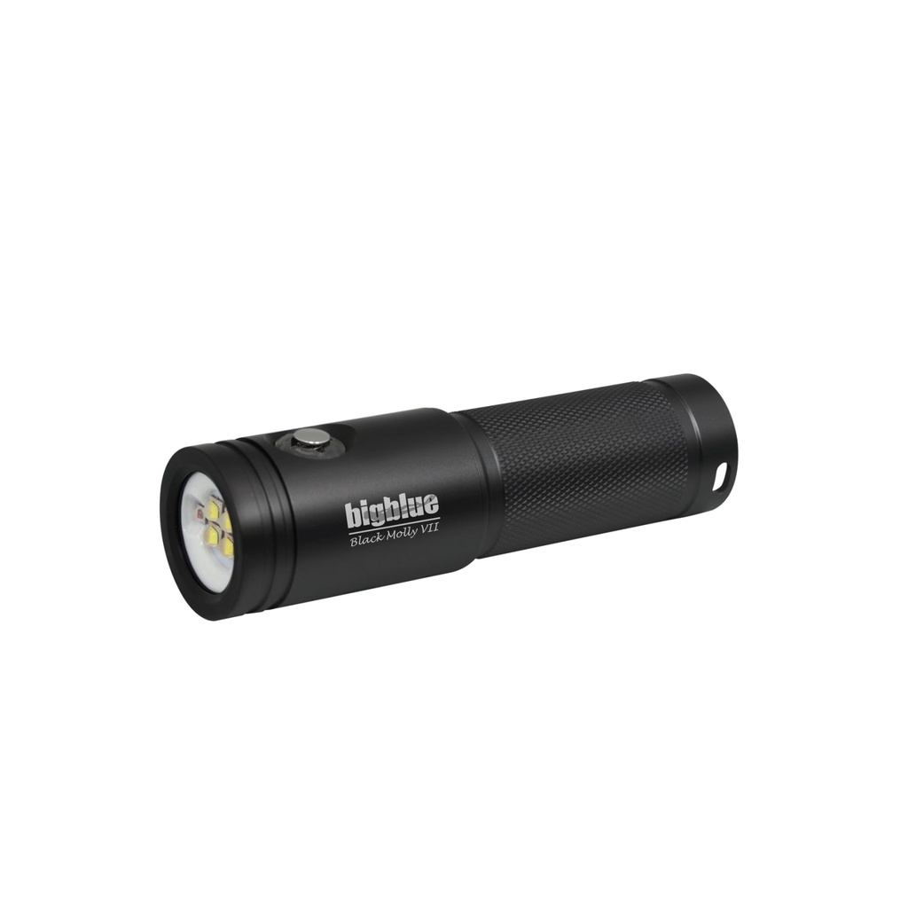 BigBlue AL2900XWP - Black Molly VII: 2900-Lumen Video Light