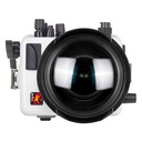 Canon EOS R8 - Ikelite 200DLM Housing