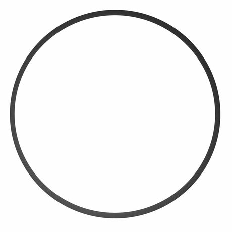 Ikelite O-Ring 0132.59 for DSLR & Mirrorless Housings (Type 1)