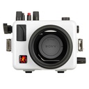 Sony ZV-E1 - Ikelite 200DLM/A Housing