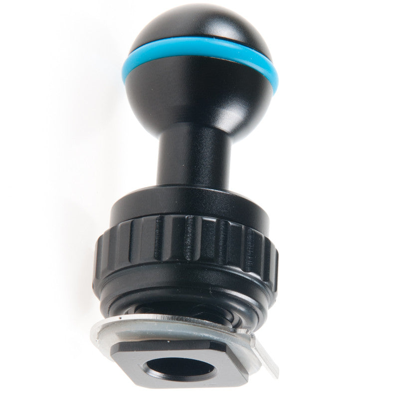 Nauticam Strobe Mounting Ball for Cold Shoe - 25311