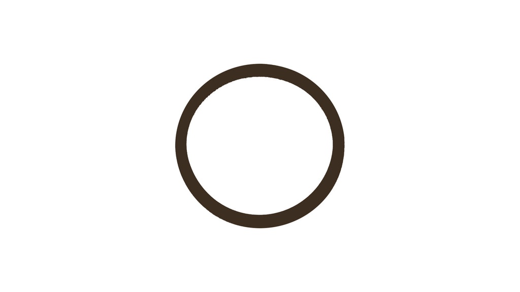 Nauticam O-ring for M14 valve - NAM0119