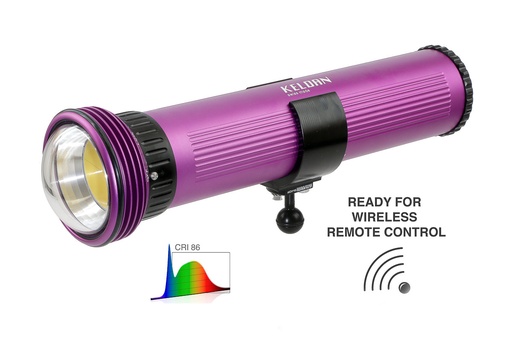 [1737] Keldan Video 24XR 45,000lm CRI86 - 1737
